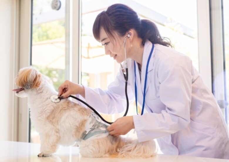 犬の僧帽弁閉鎖不全症の進行を遅らせることはできる？