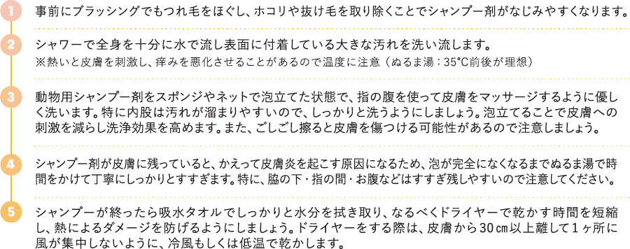 犬のシャンプーの手順