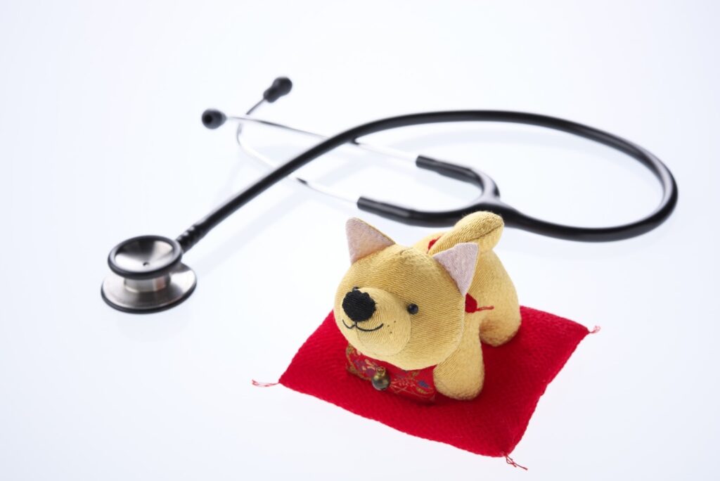 聴診器と犬の置き物